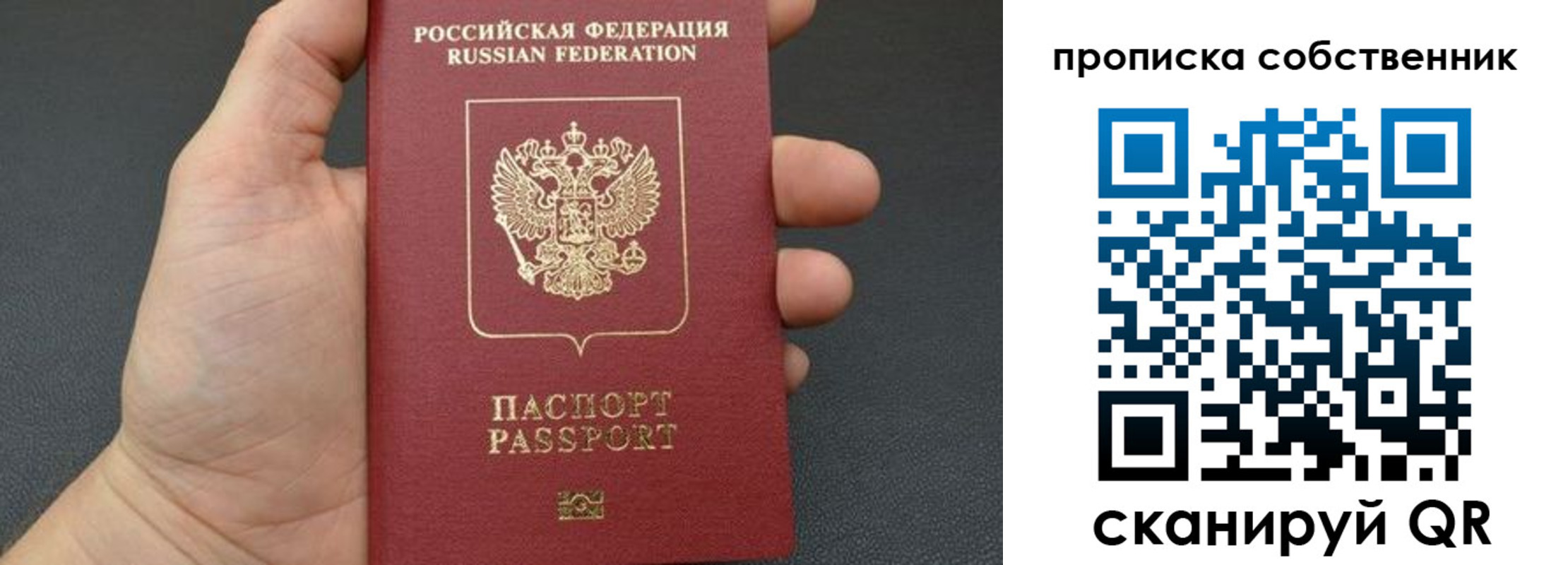 прописка паспорт в Бабаево